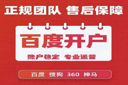 精准投放，高效转化——SEM竞价优化案例集
